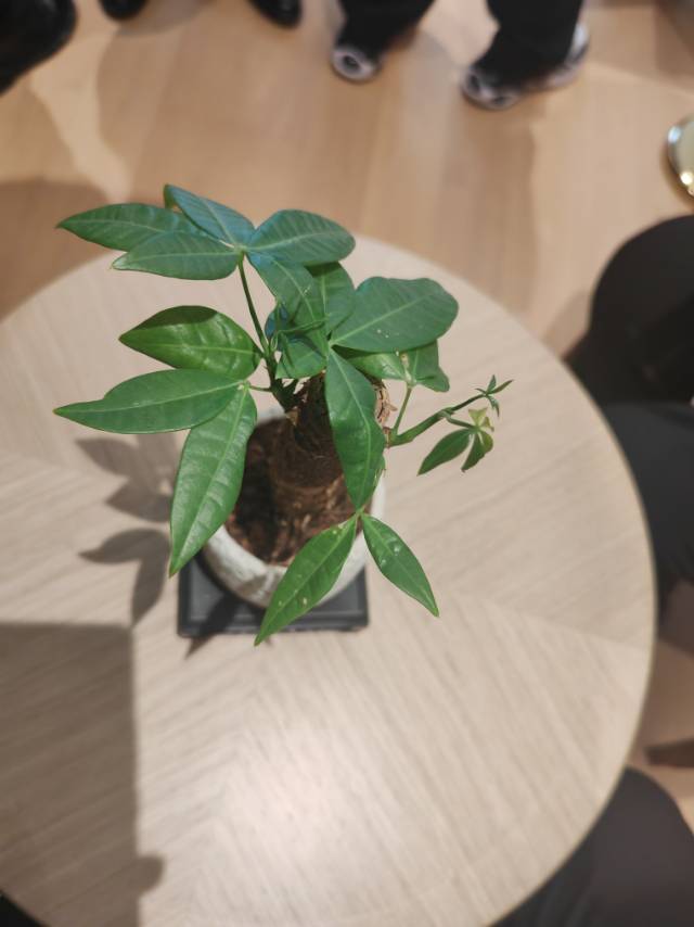 暖恋app