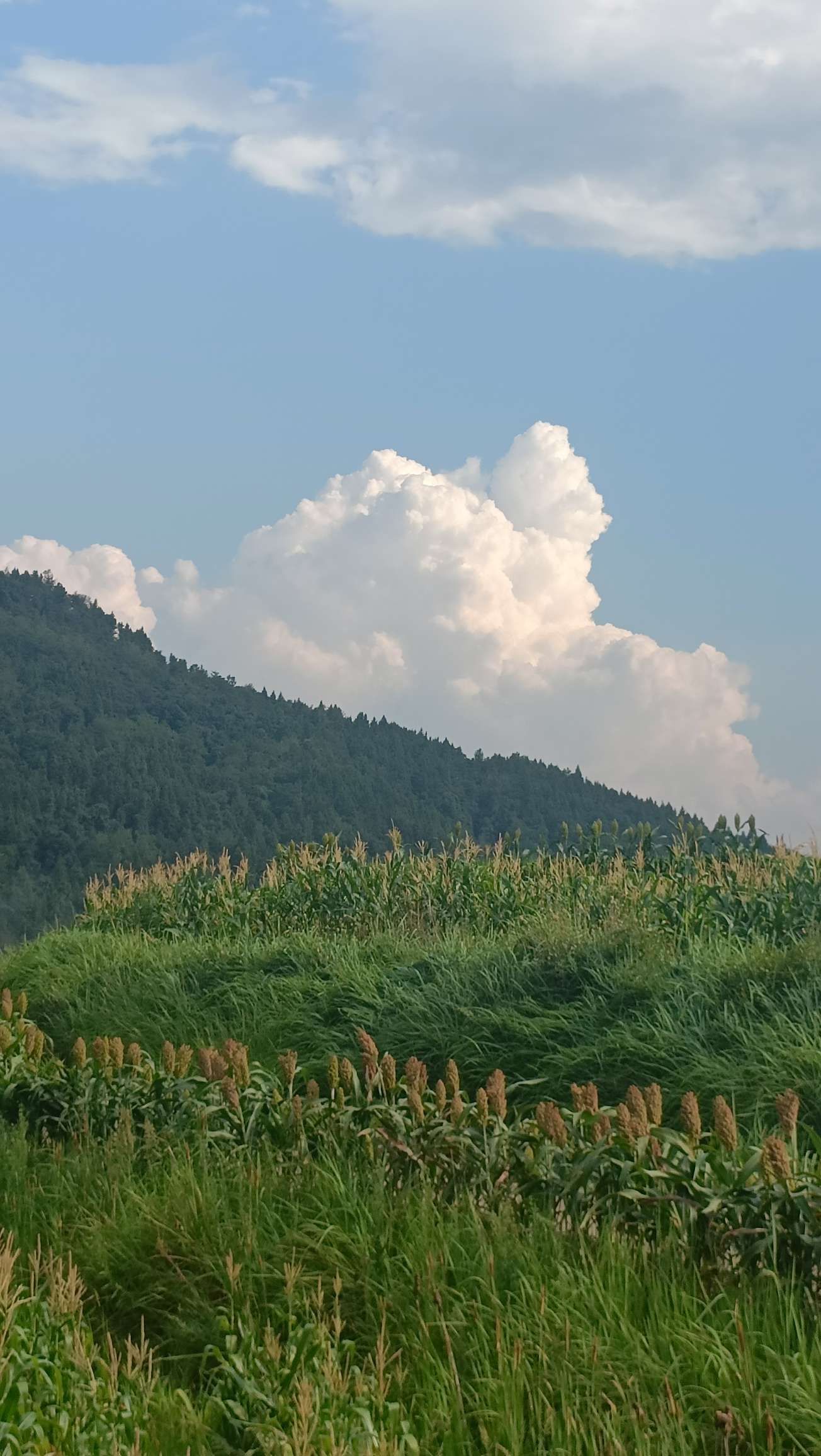 暖恋app