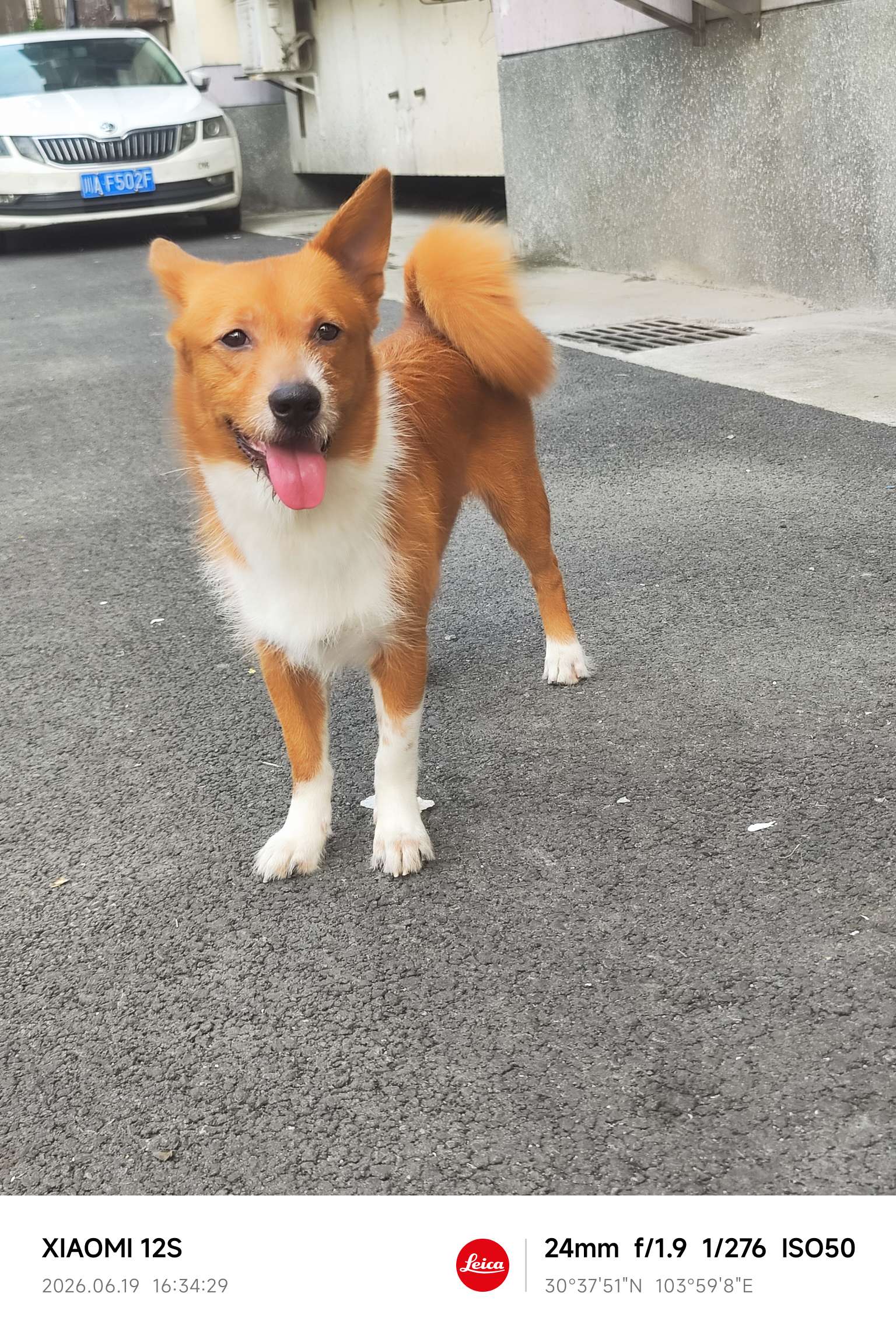 暖恋app