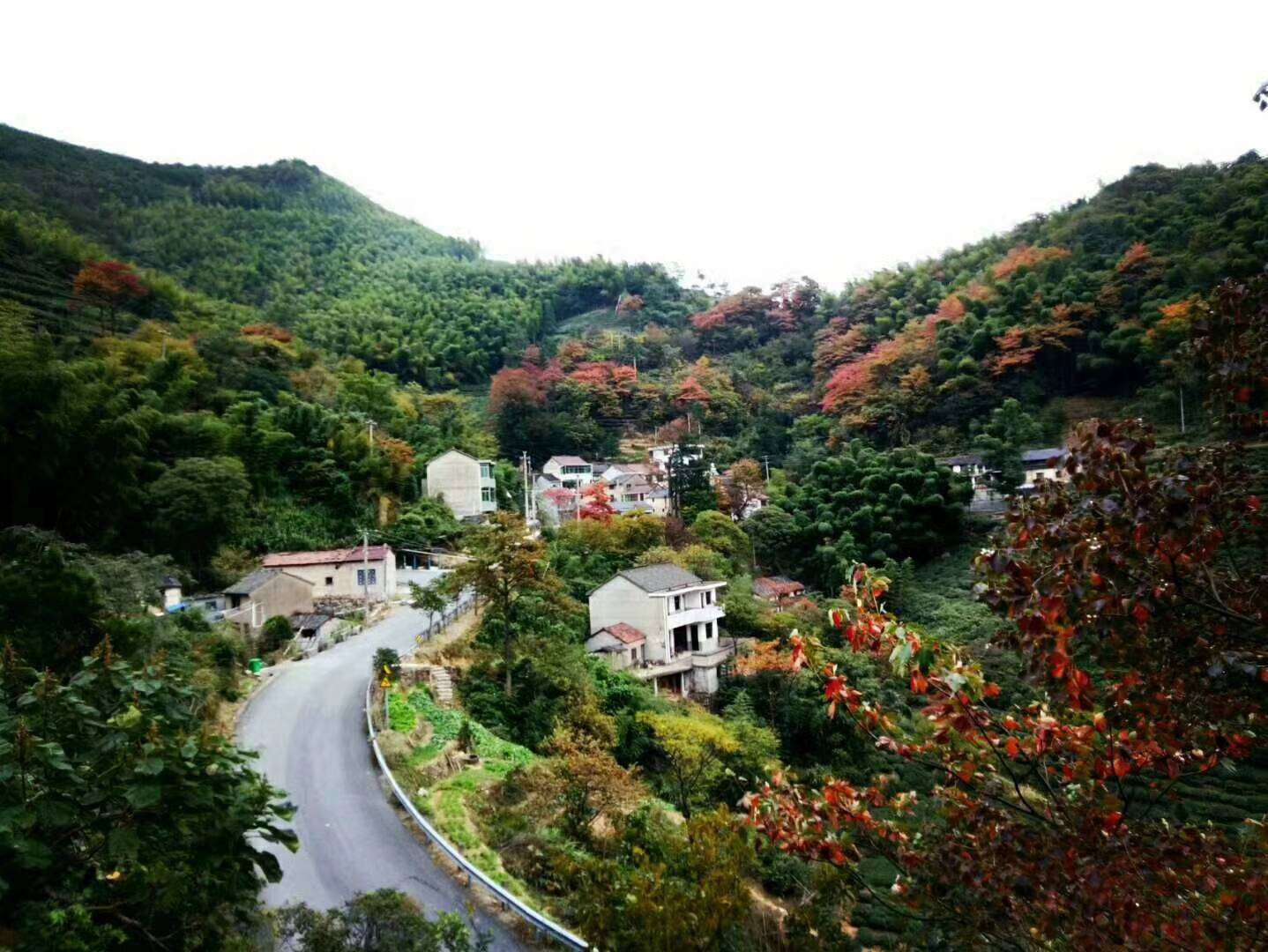 暖恋app