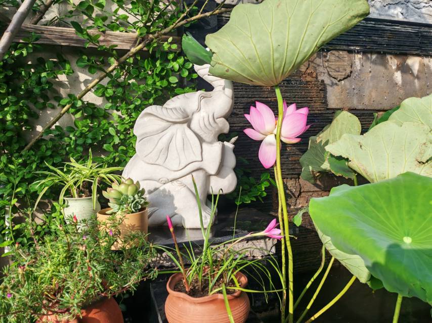 暖恋app