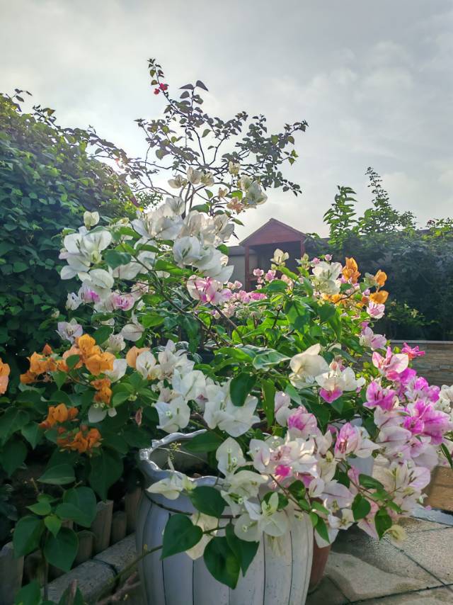 暖恋app
