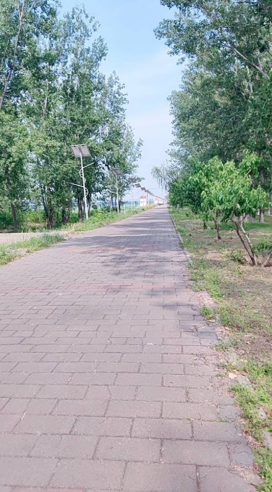 暖恋app