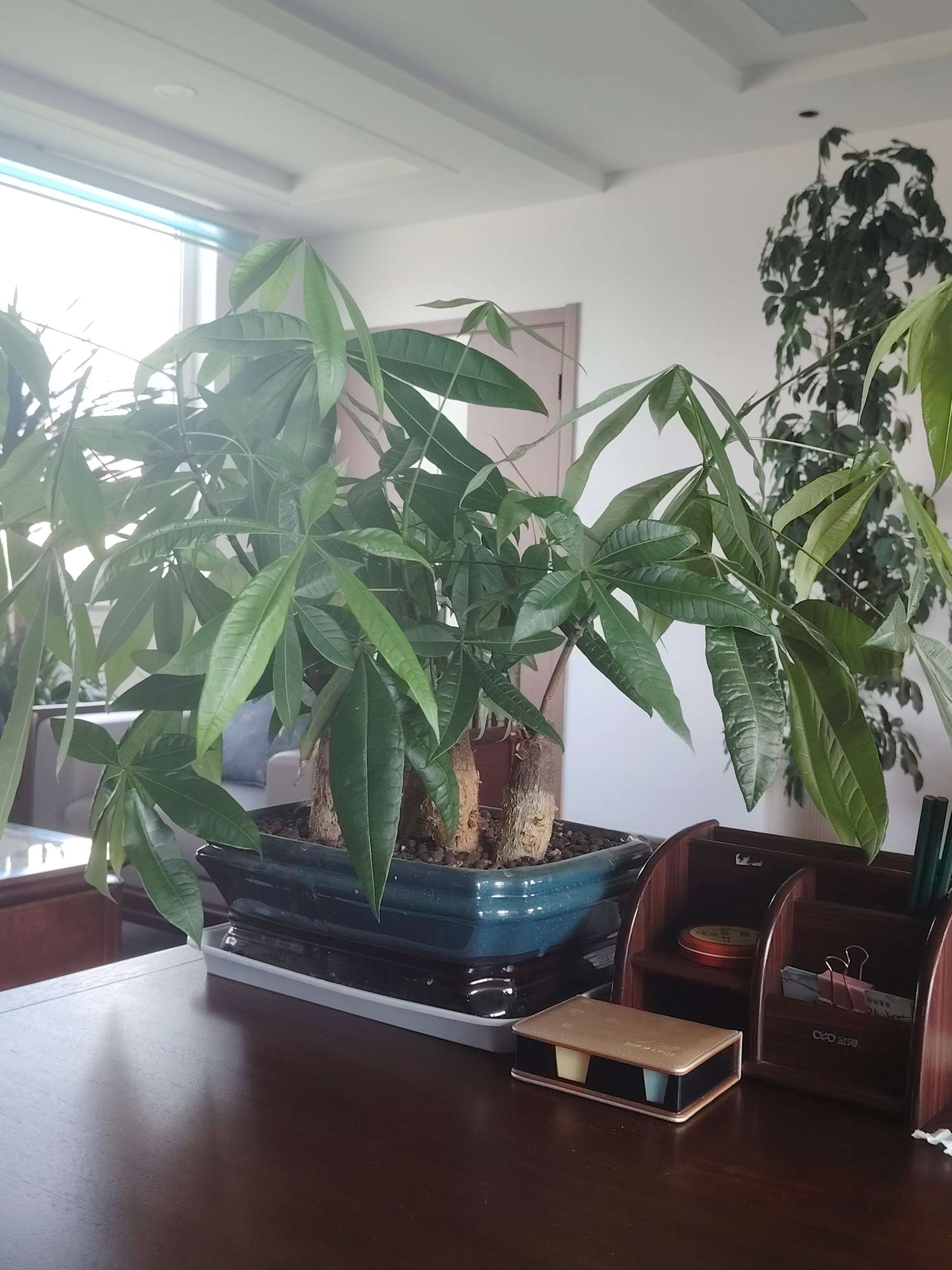 暖恋app