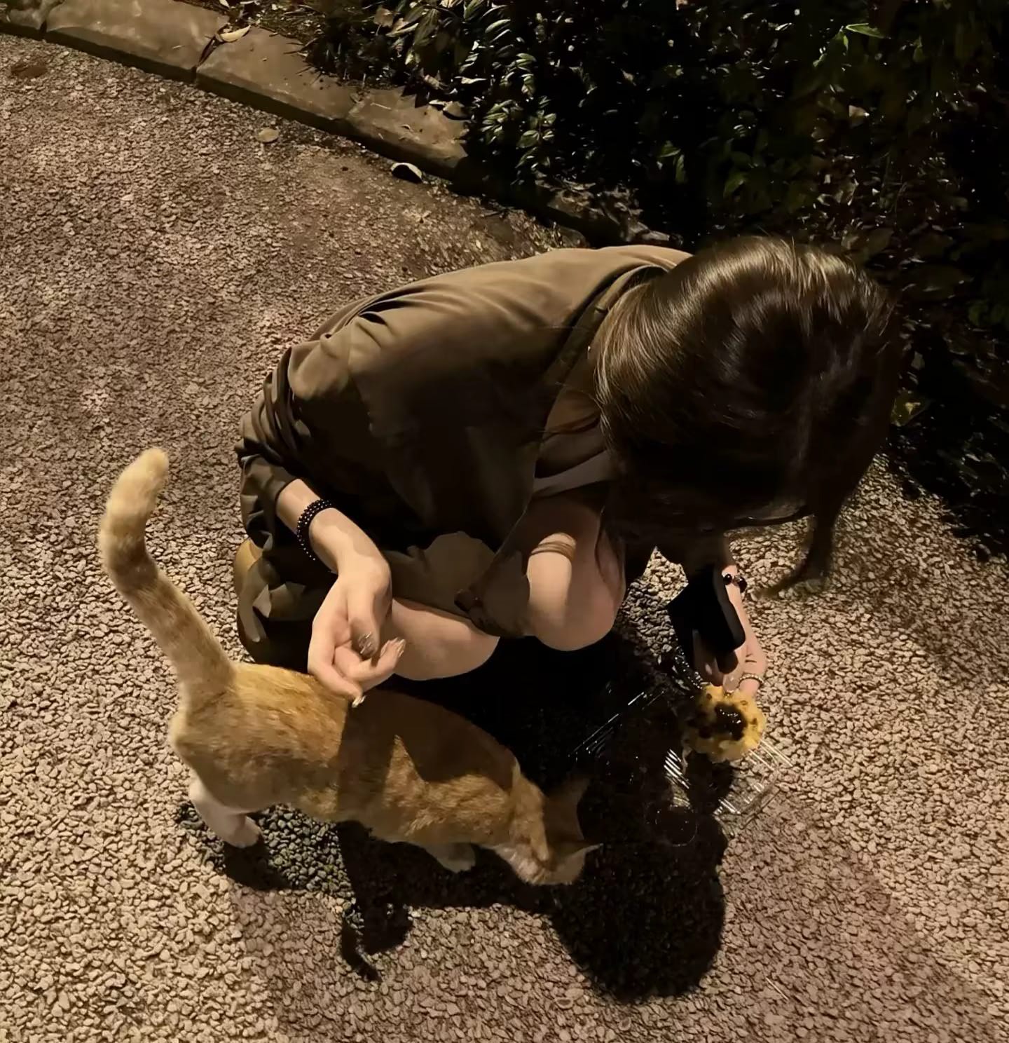 暖恋app