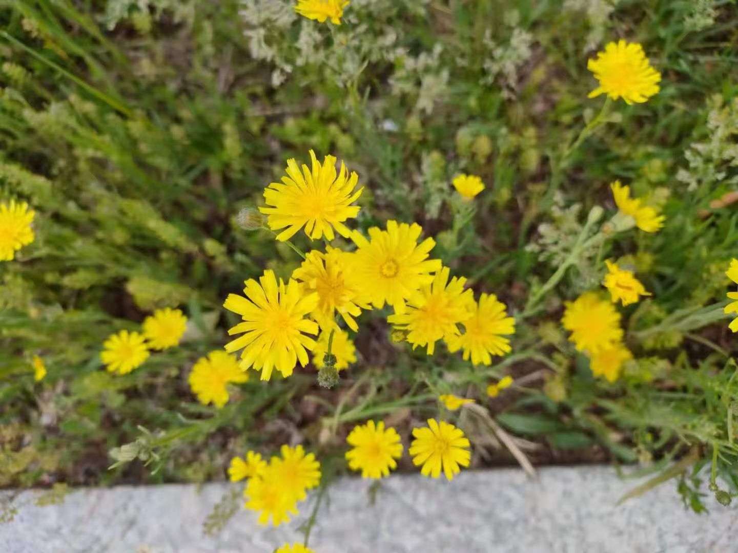 暖恋app