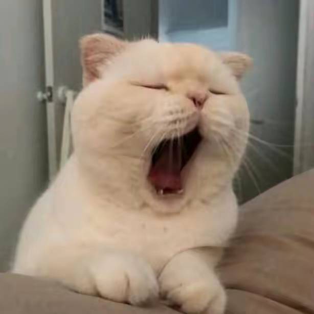暖恋app