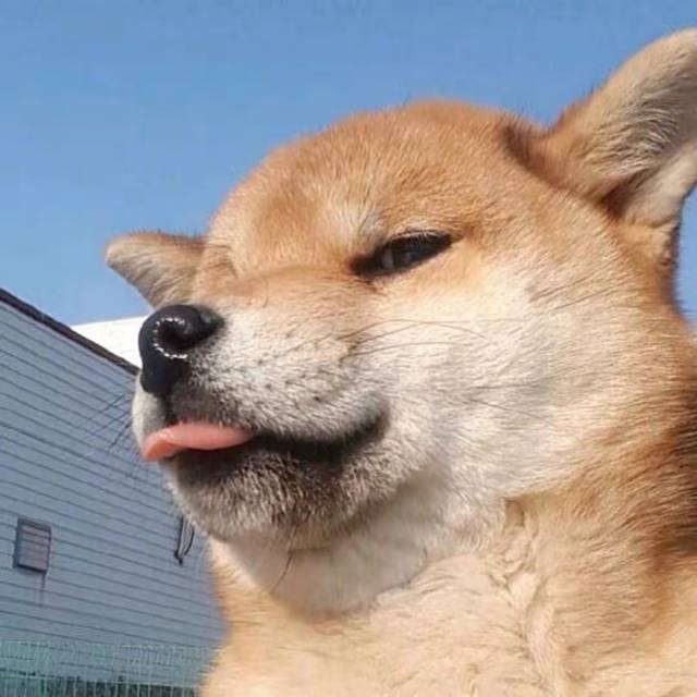暖恋app