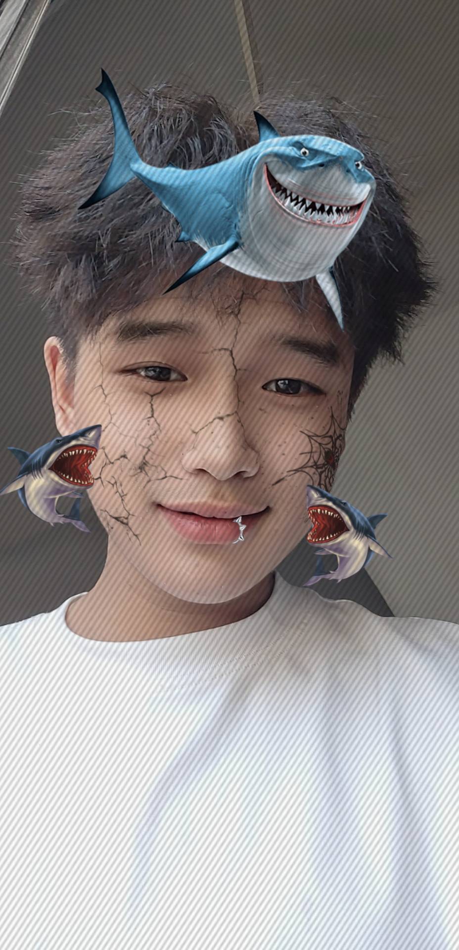 暖恋app