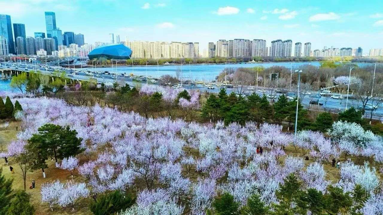 暖恋app