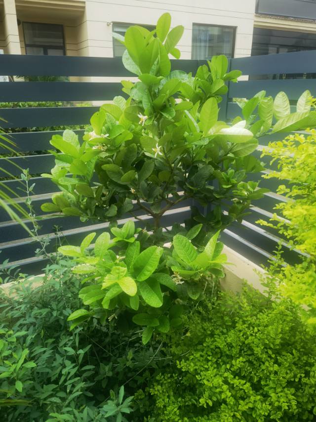 暖恋app