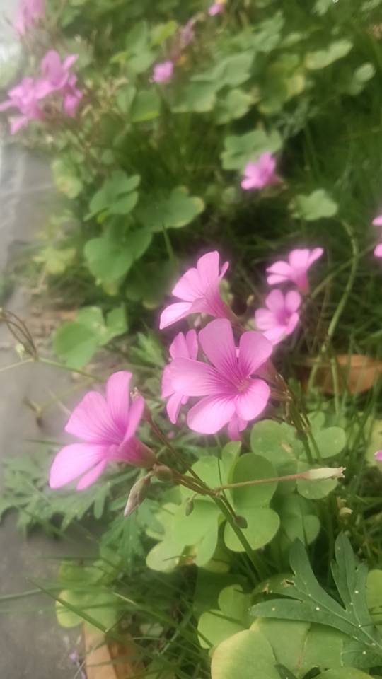 暖恋app