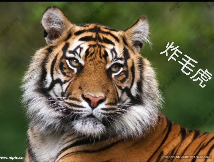 暖恋app