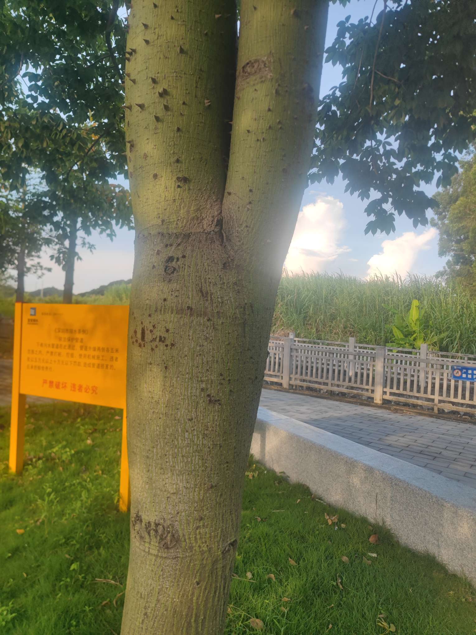暖恋app