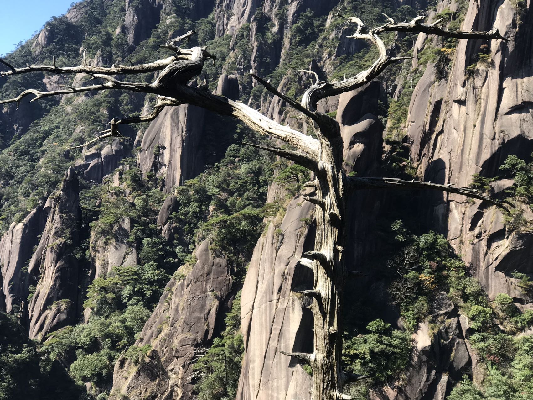 暖恋app