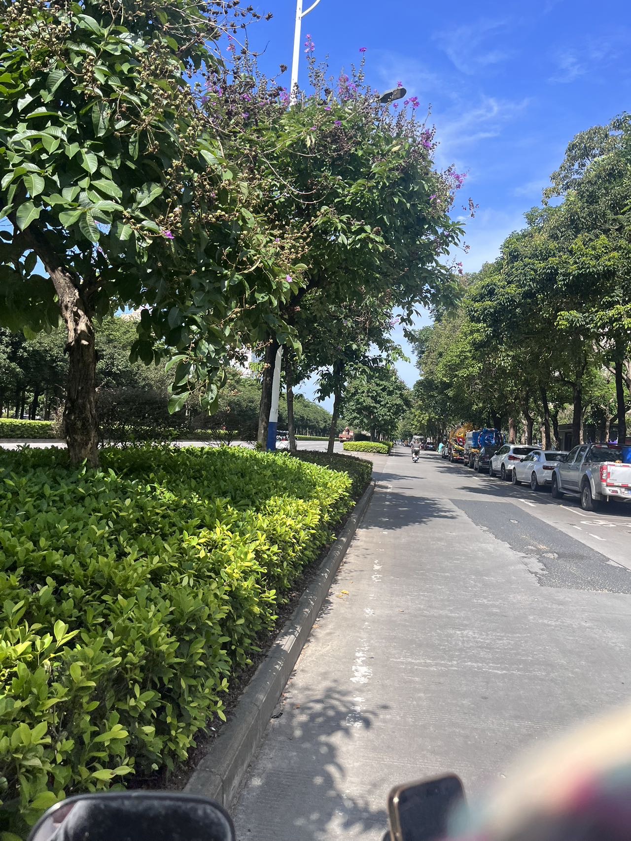 暖恋app