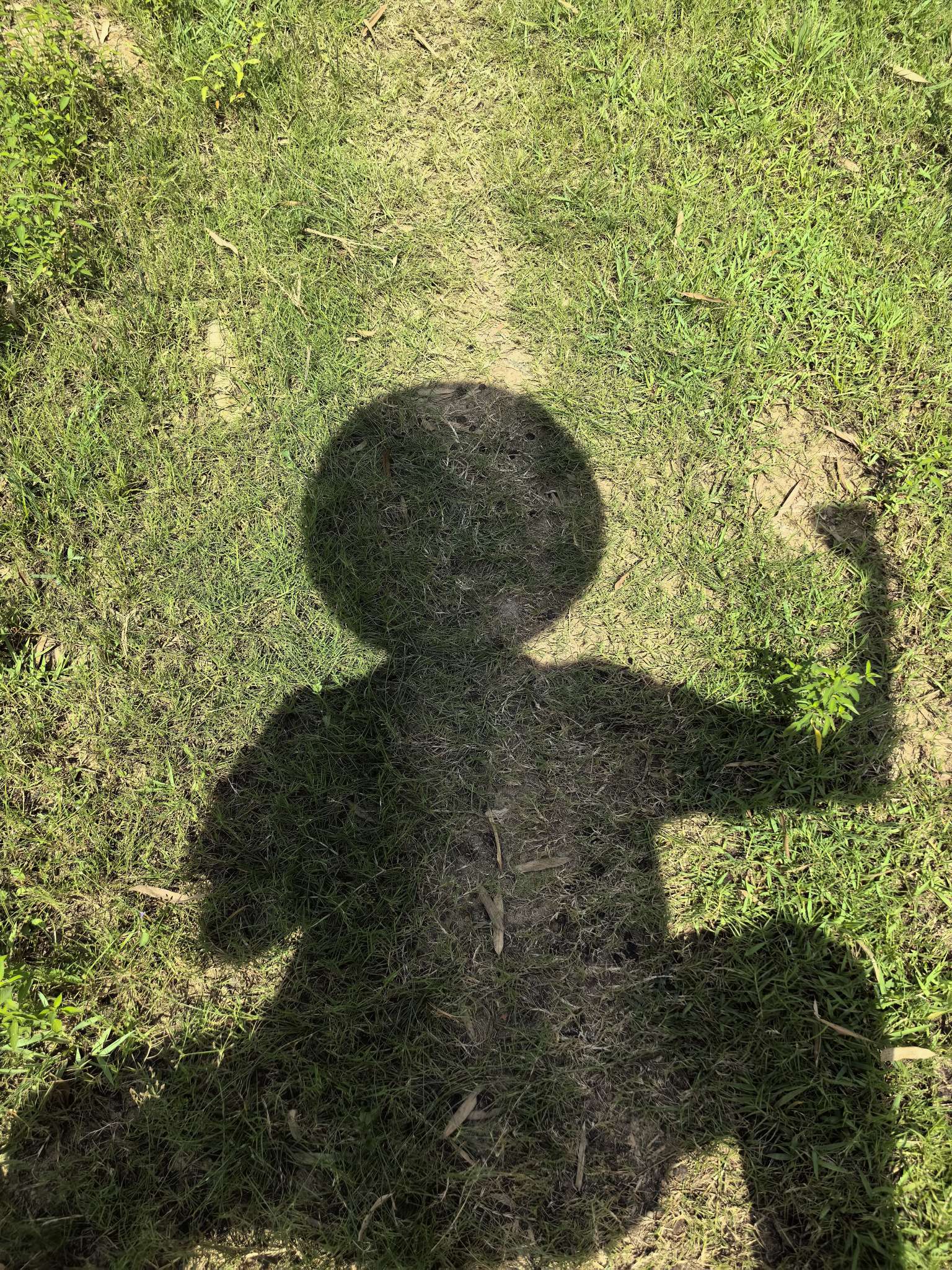 暖恋app