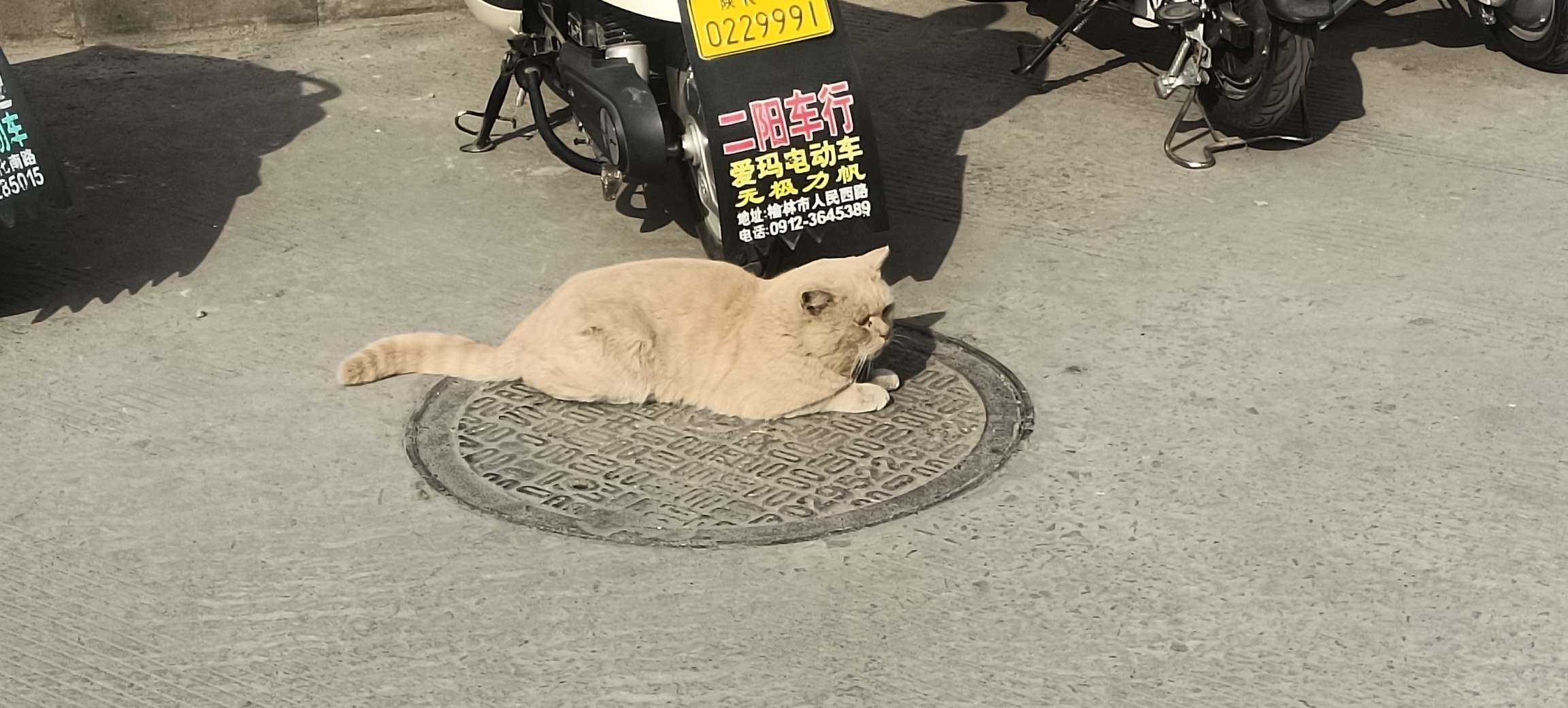 暖恋app
