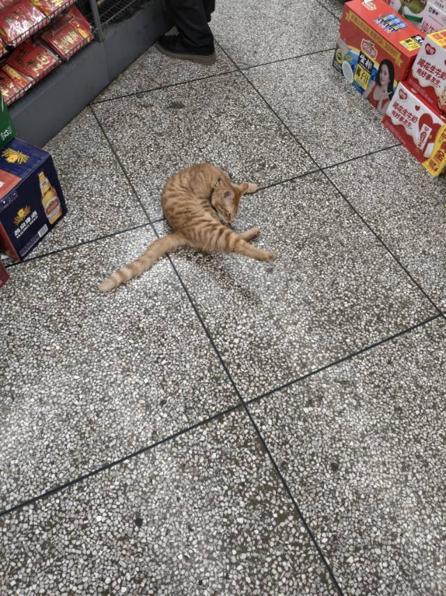 暖恋app