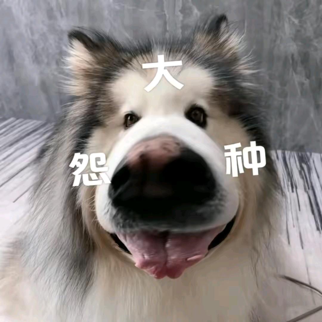 暖恋app