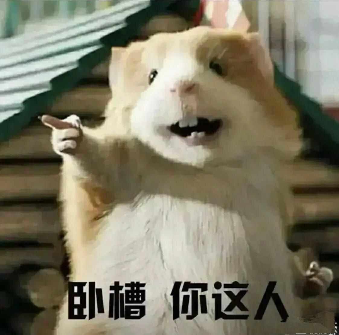 暖恋app