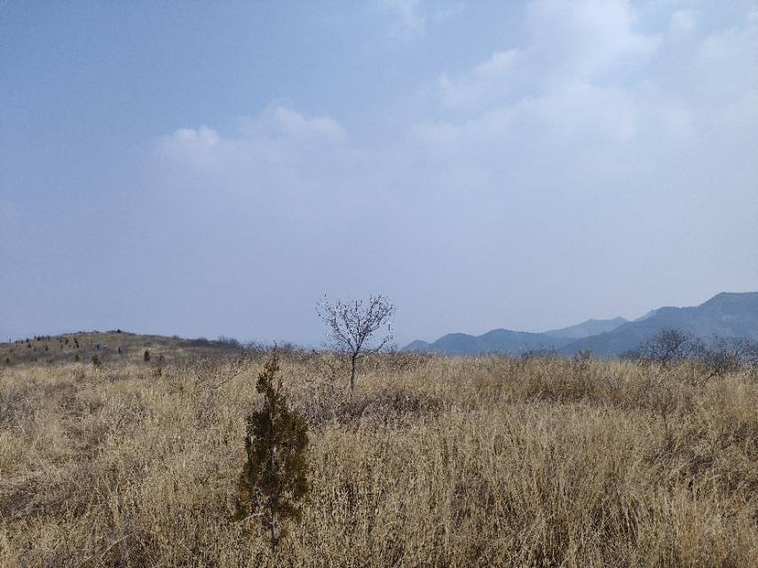 暖恋app