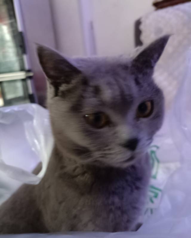 暖恋app