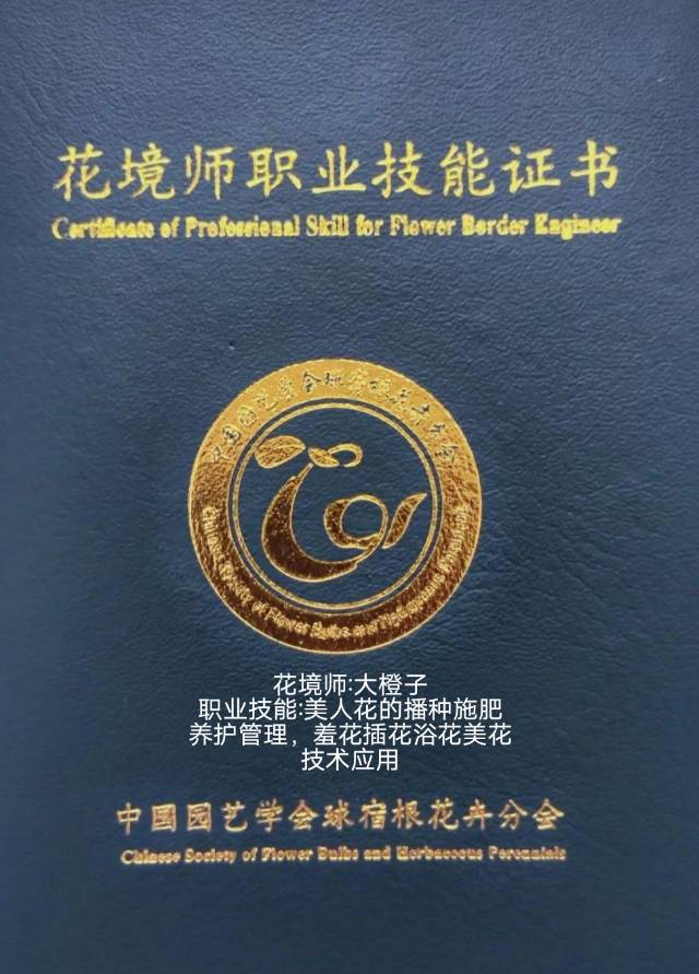 暖恋app