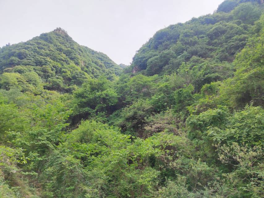 暖恋app