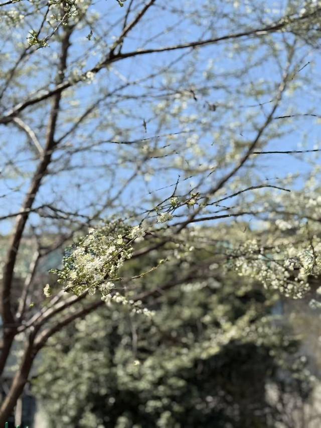 暖恋app