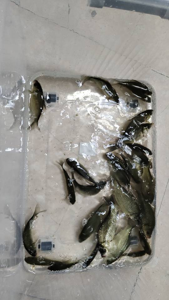暖恋app
