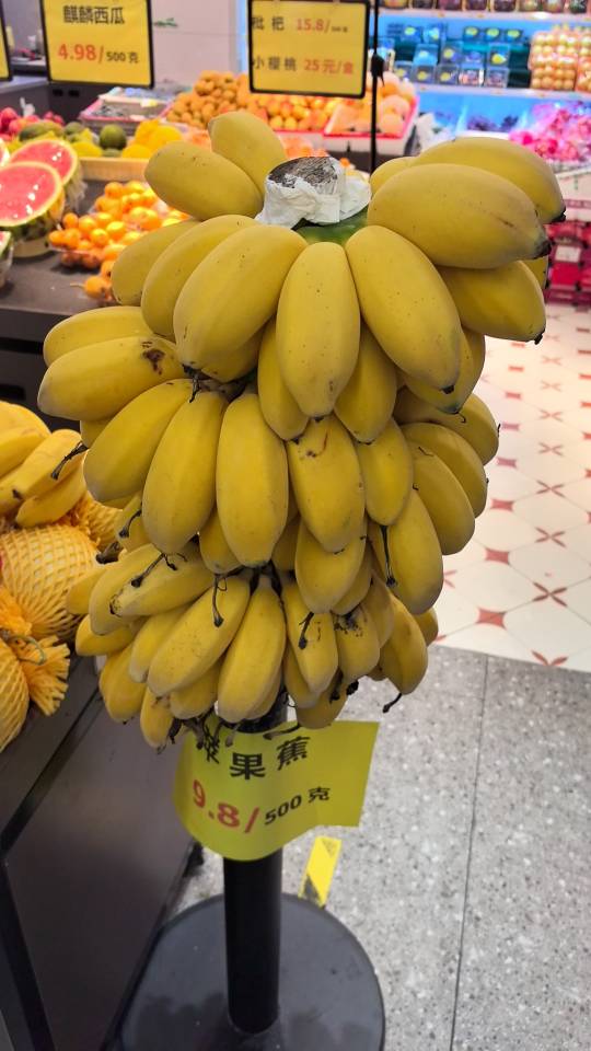 暖恋app