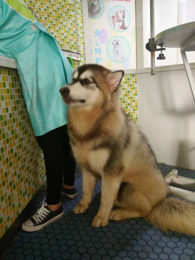 暖恋app