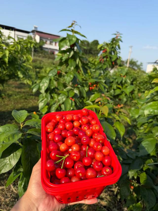 暖恋app