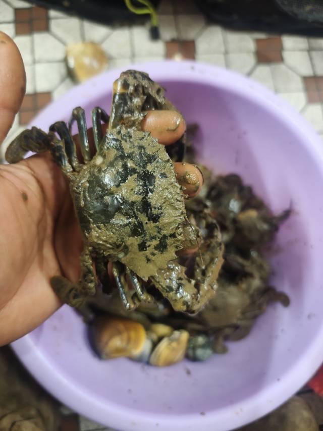 暖恋app