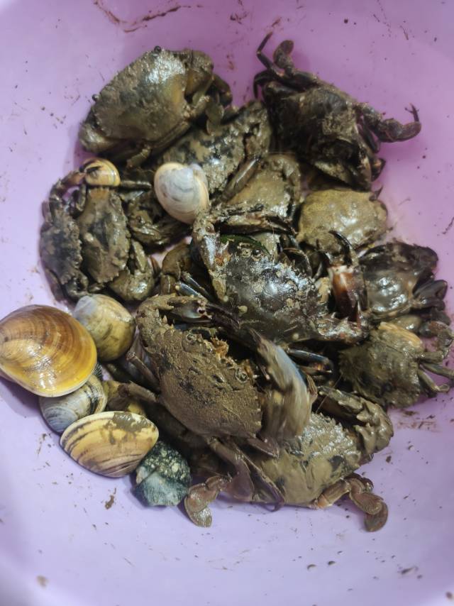 暖恋app