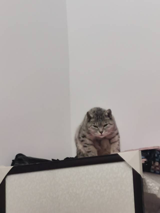 暖恋app