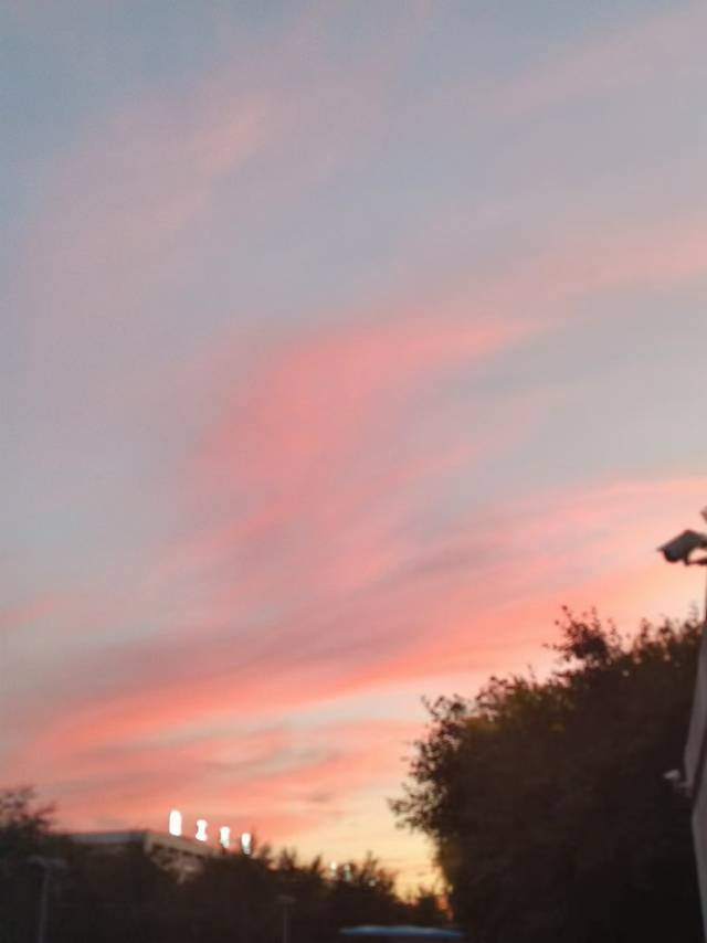 暖恋app