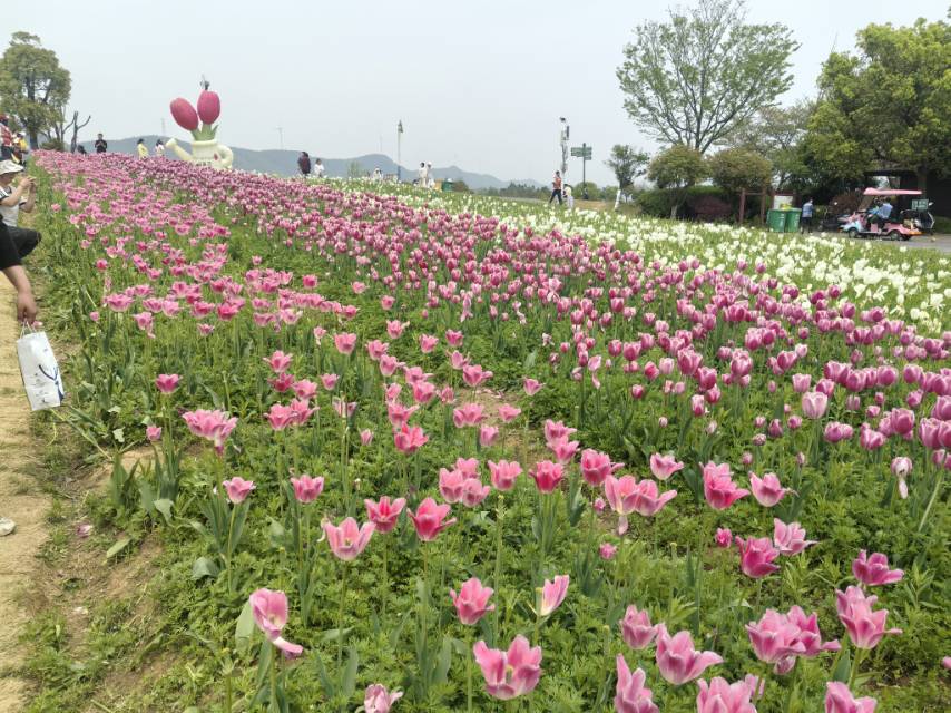 暖恋app