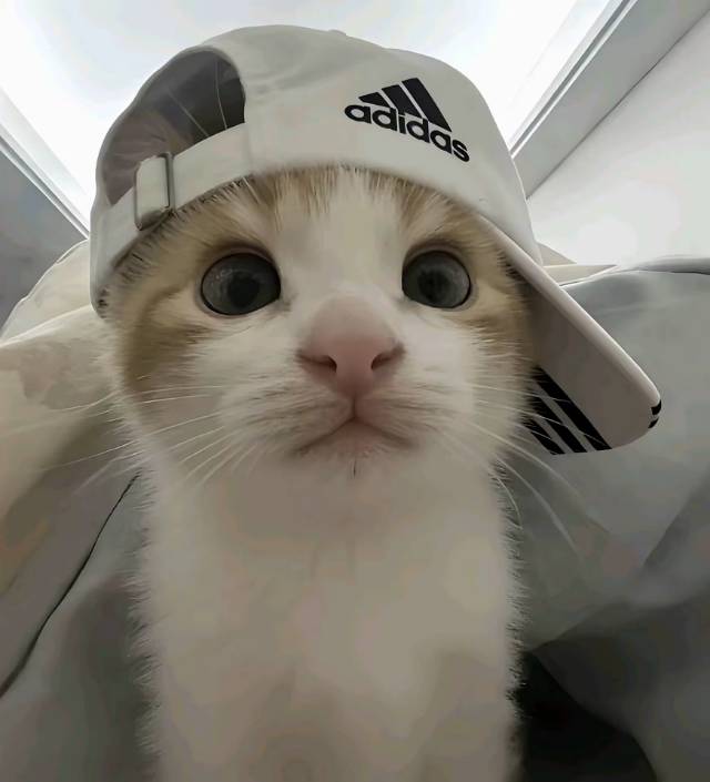 暖恋app