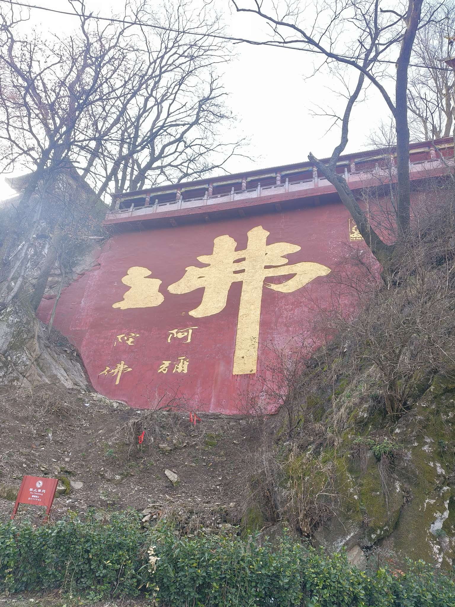 暖恋app