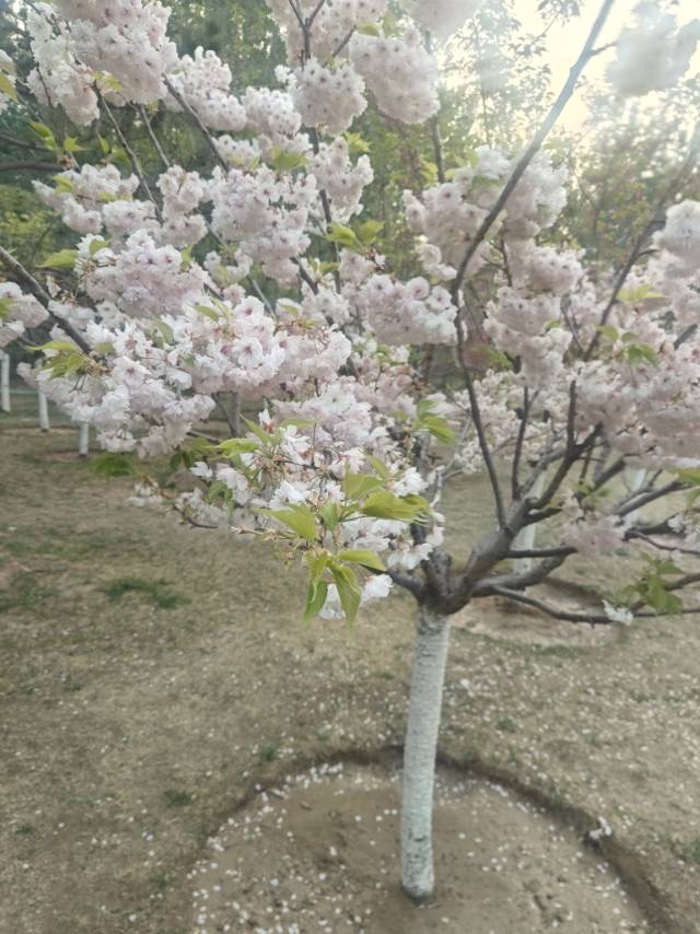 暖恋app