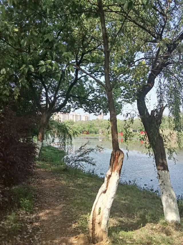 暖恋app