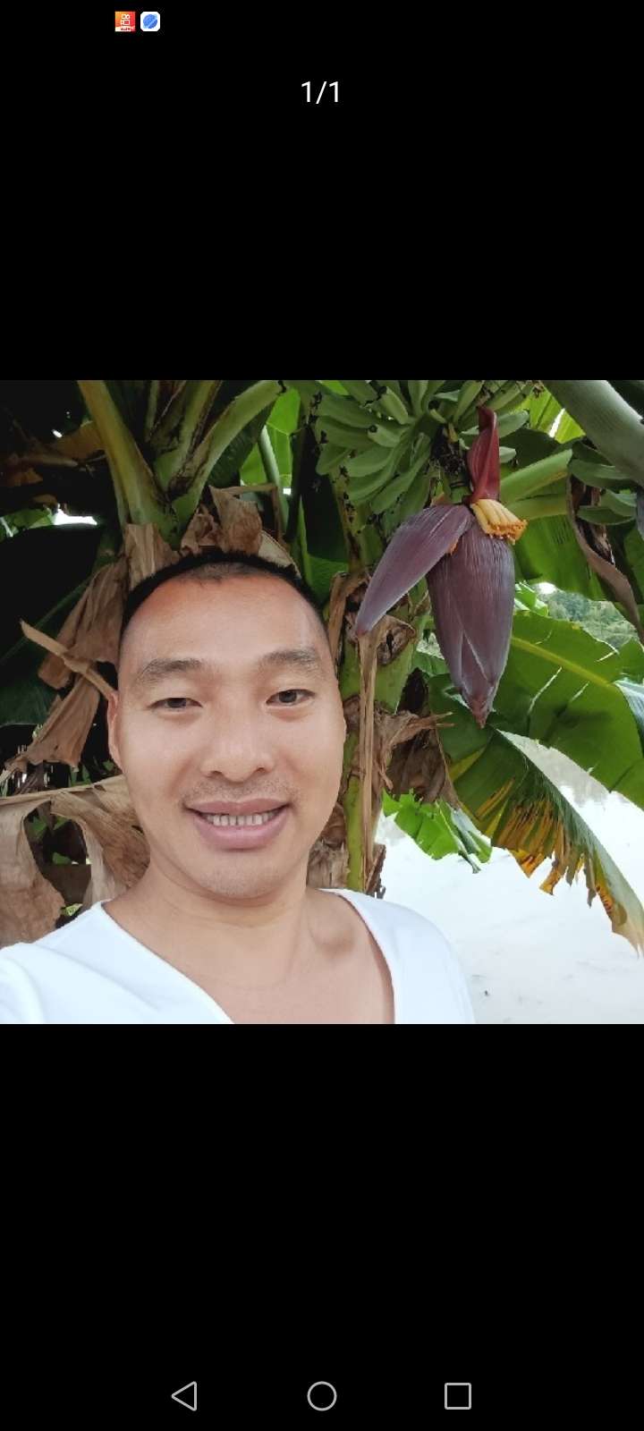 暖恋app