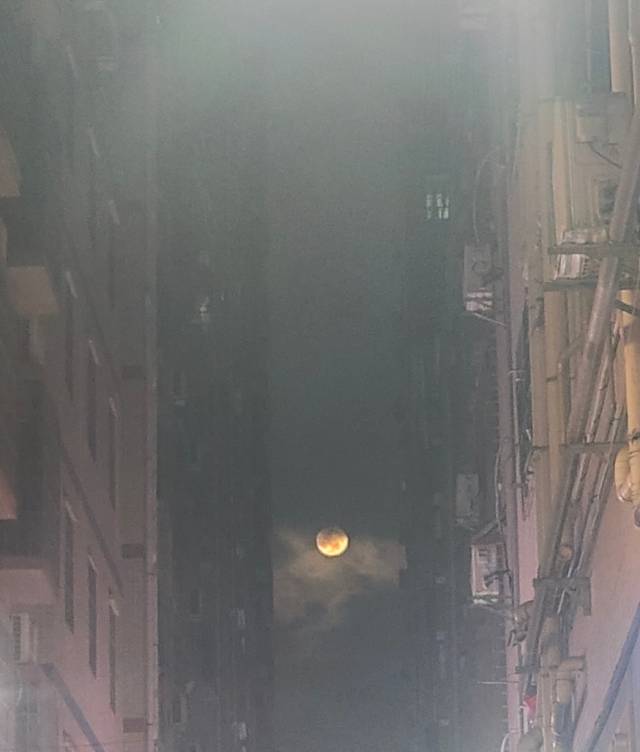 暖恋app