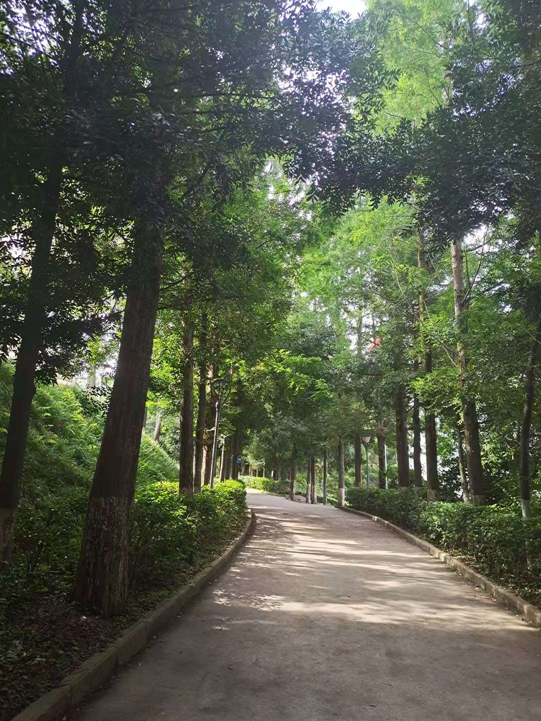 暖恋app