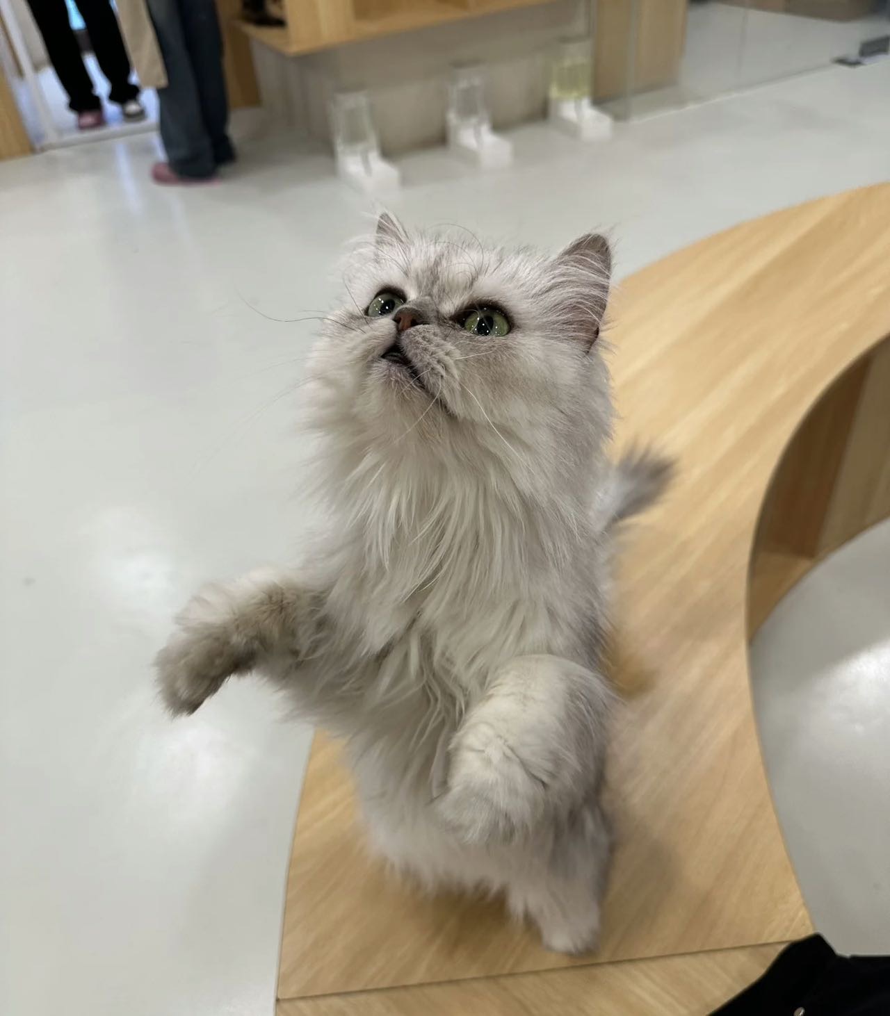 暖恋app