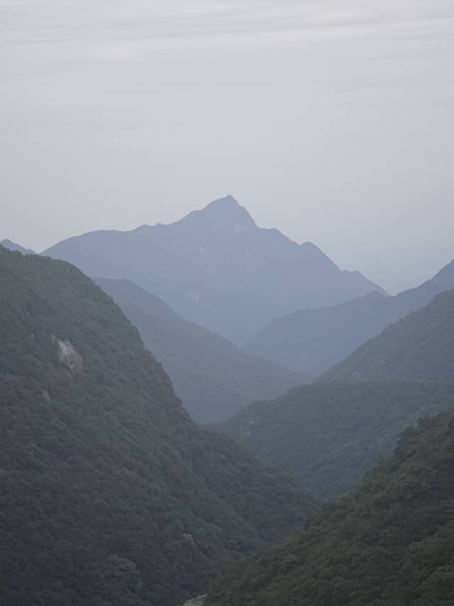 暖恋app
