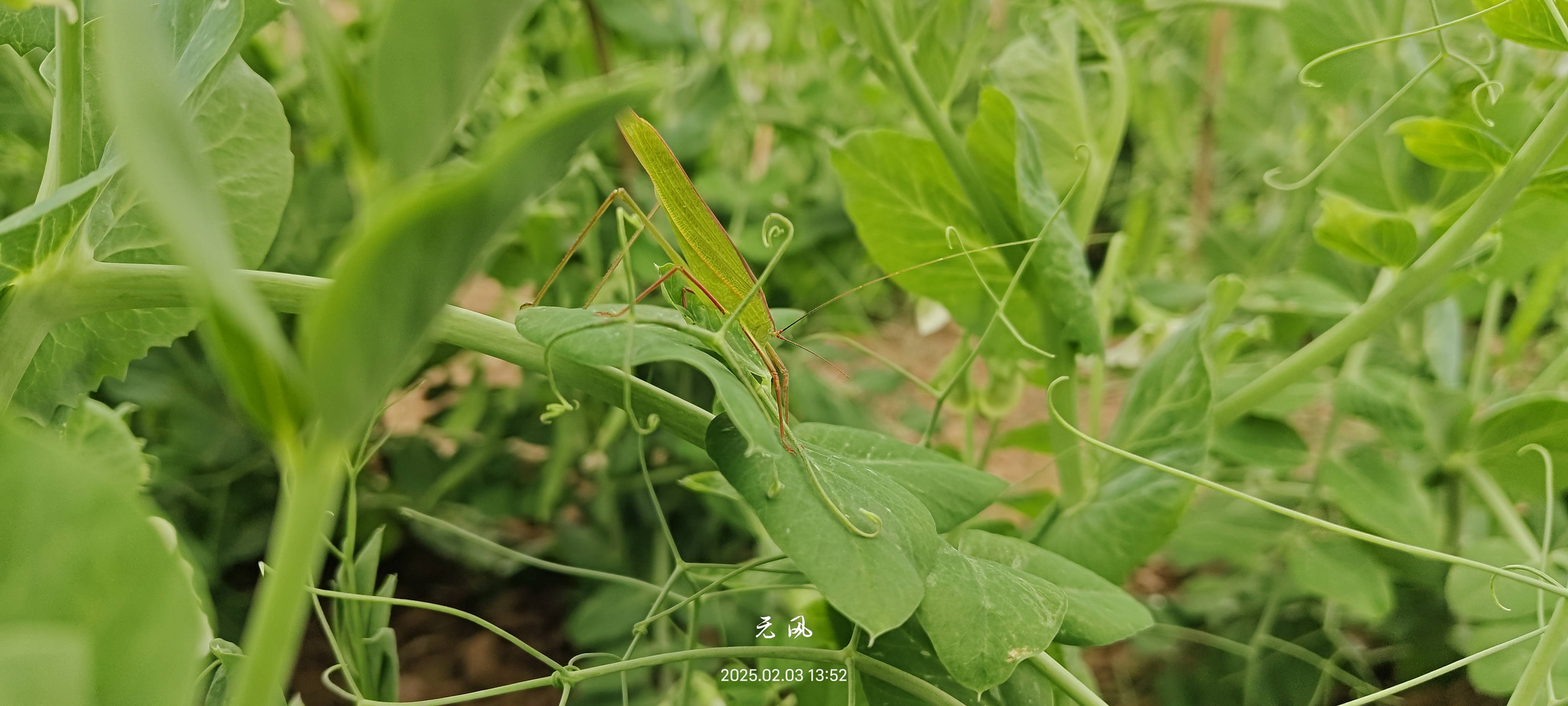 暖恋app