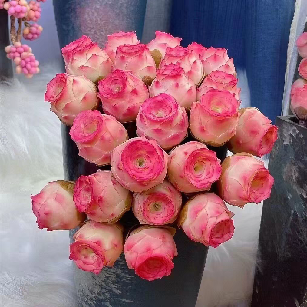 暖恋app